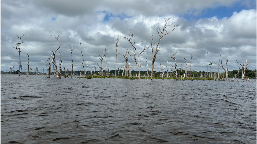 Coleta de Parâmetros Multiparâmetros